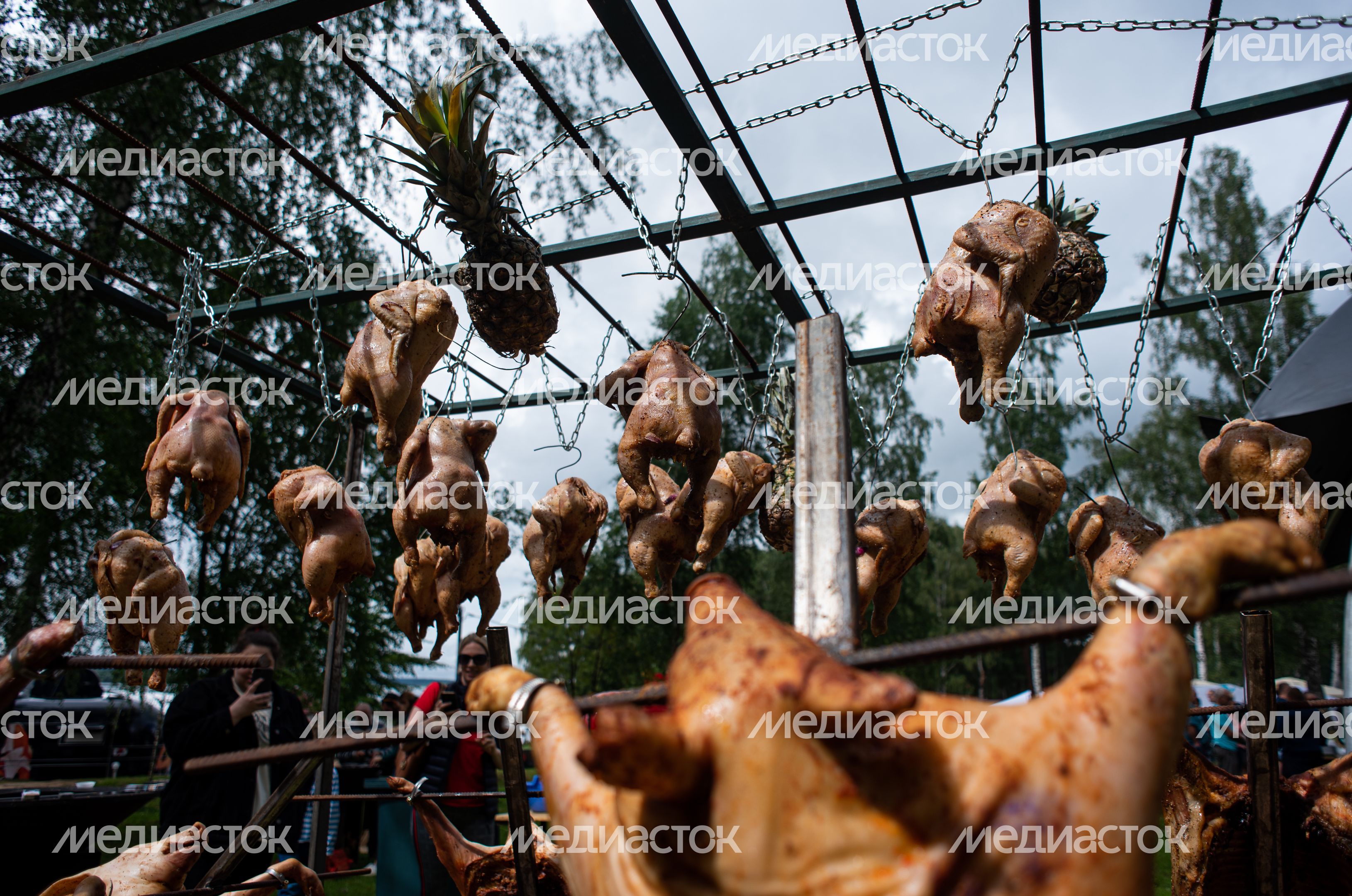 Гастрономический фестиваль Alpaca Wellbeing Fest