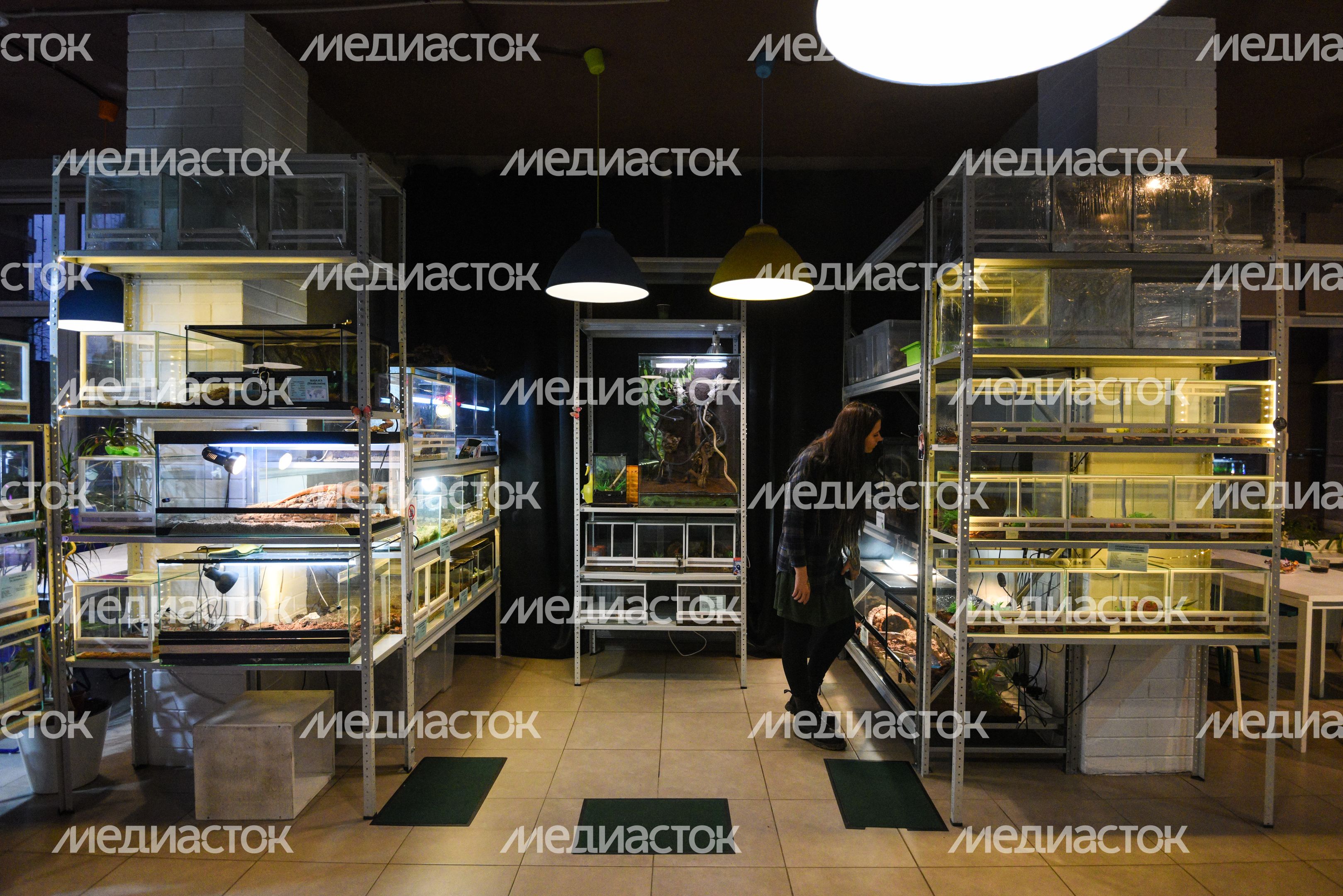 Антикафе «Жучки-паучки» в Москве