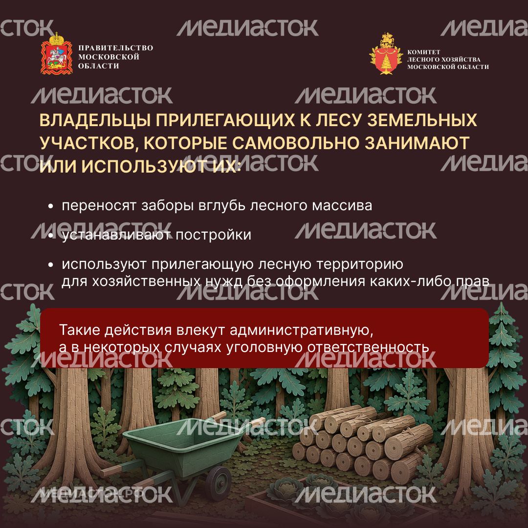 Самовольный захват и использование лесных участков квадрат 03