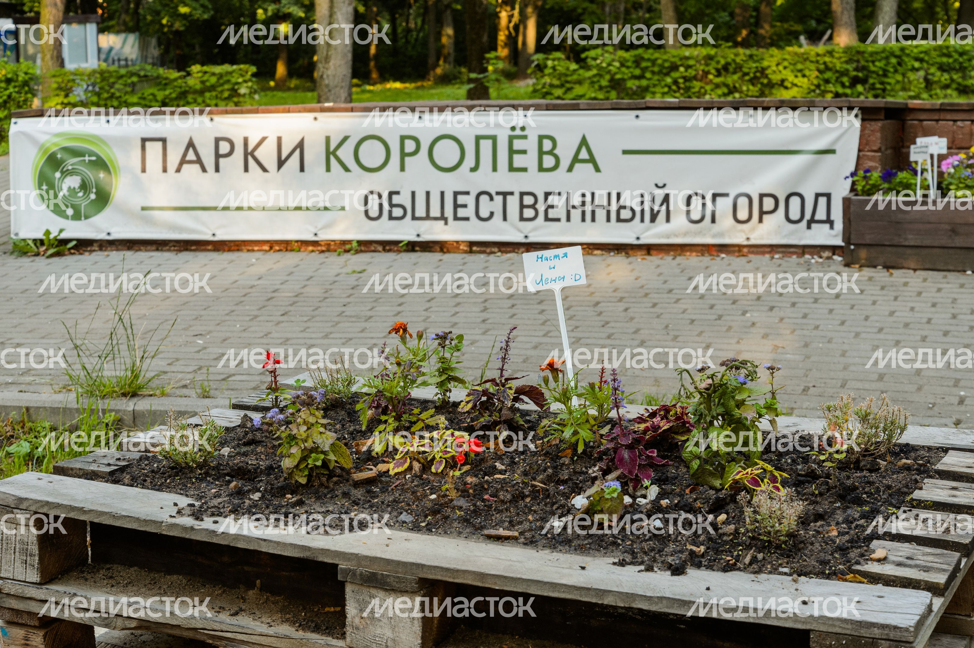 Королев. Центральный городской парк Королев. Центральный городской парк