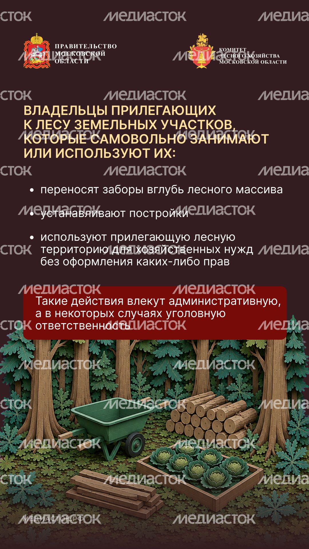 Самовольный захват и использование лесных участков вертикаль 03