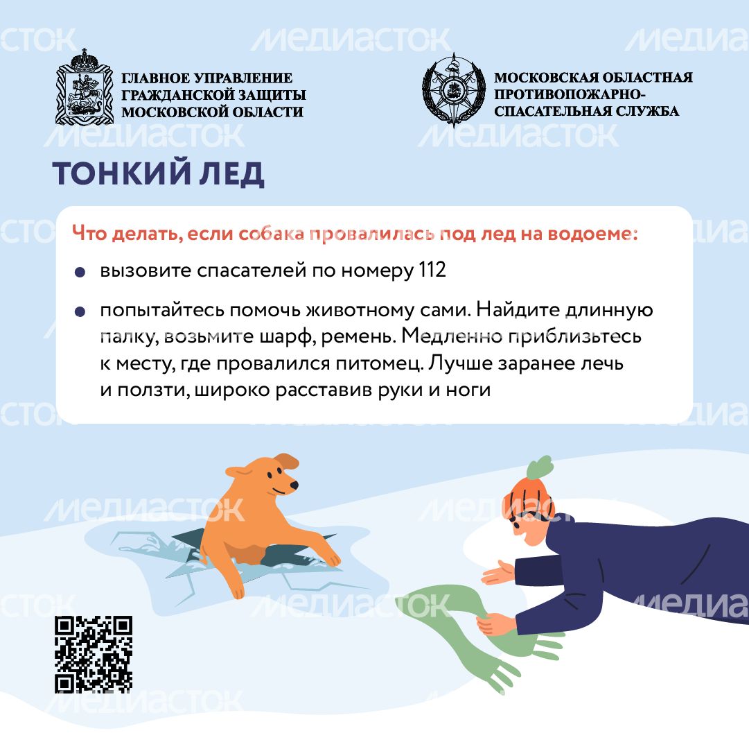Помощь усатым - квадрат-05