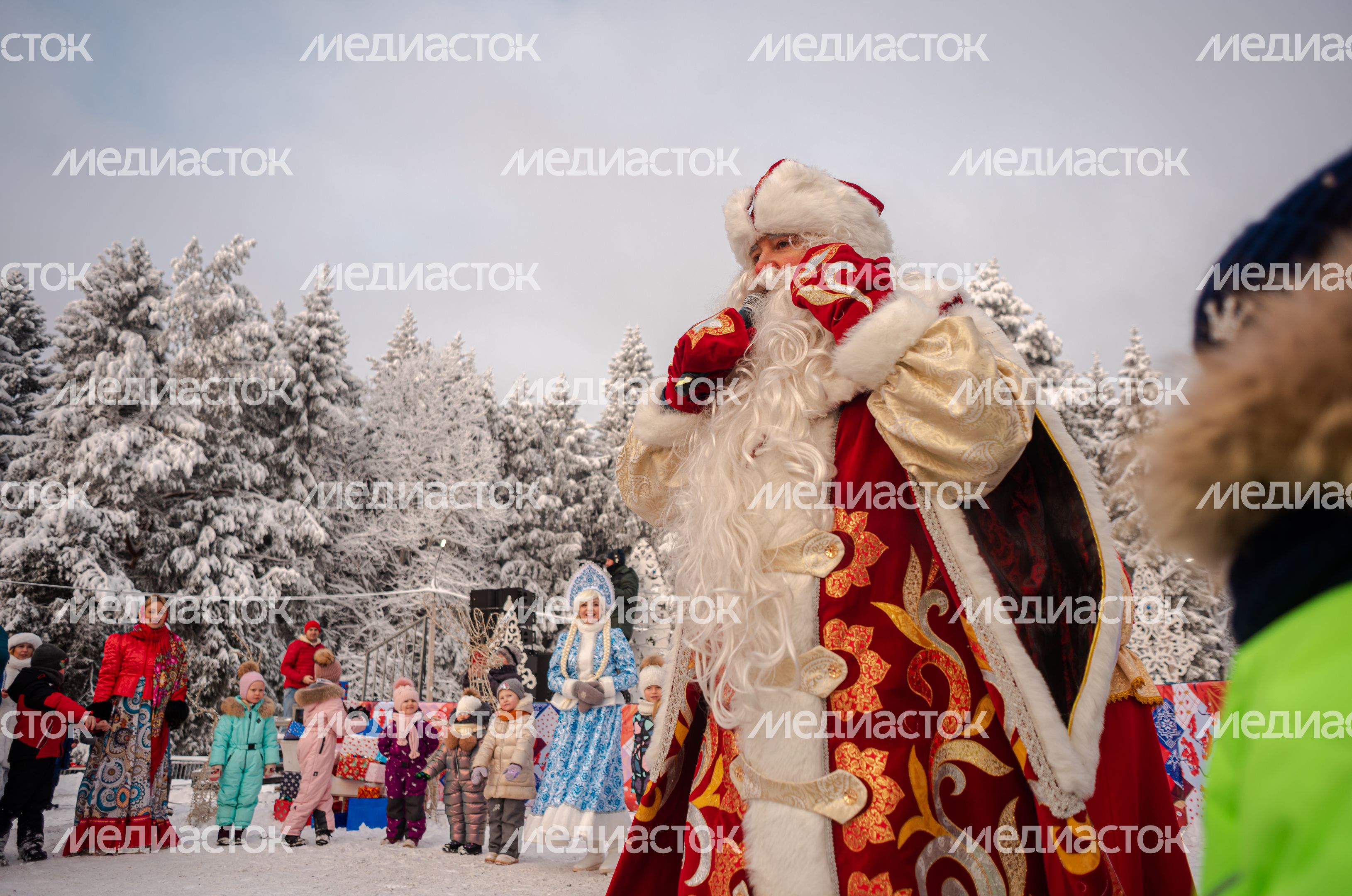 Рубка главной новогодней елки страны