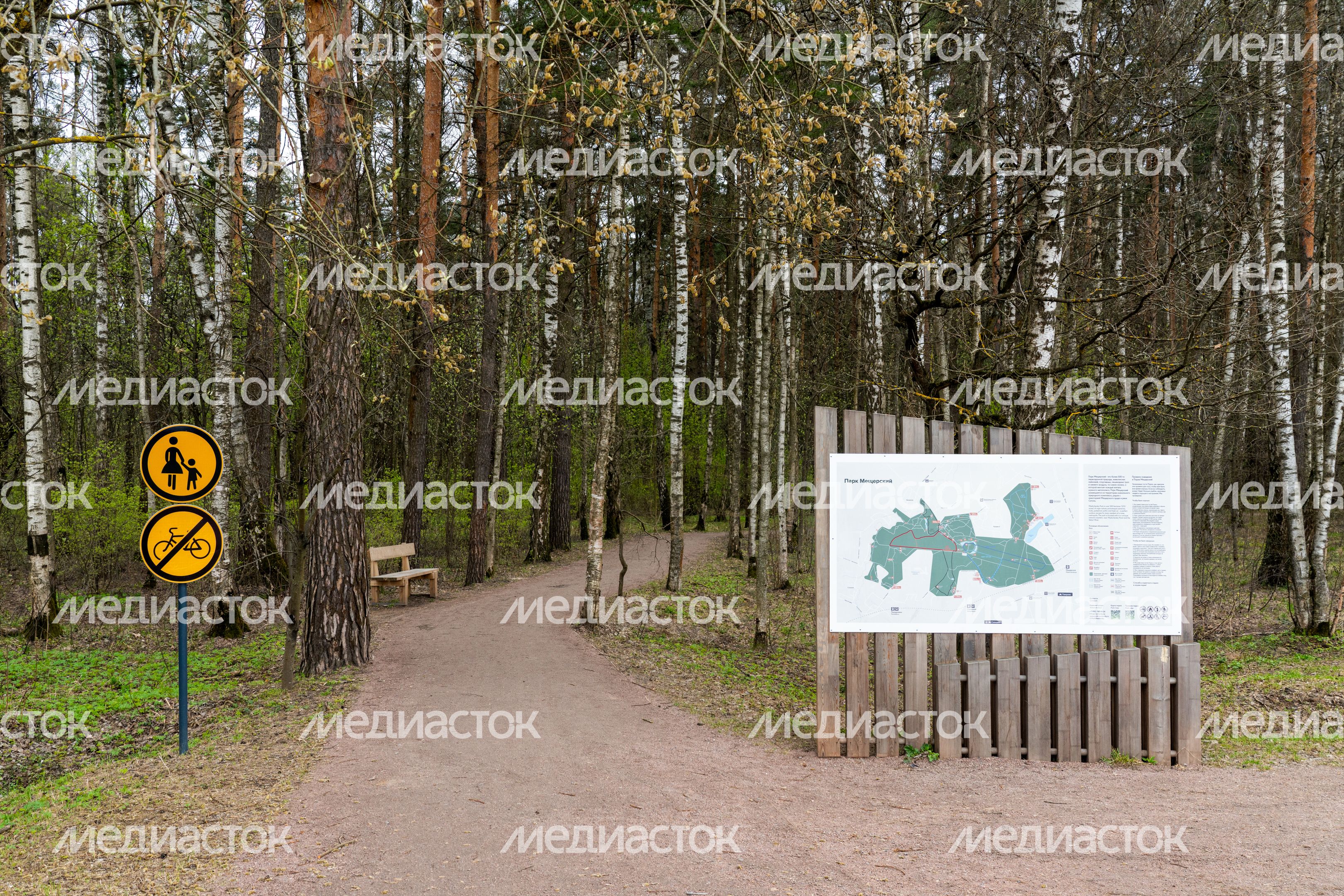 Мещерский парк в Одинцовском округе. Весна