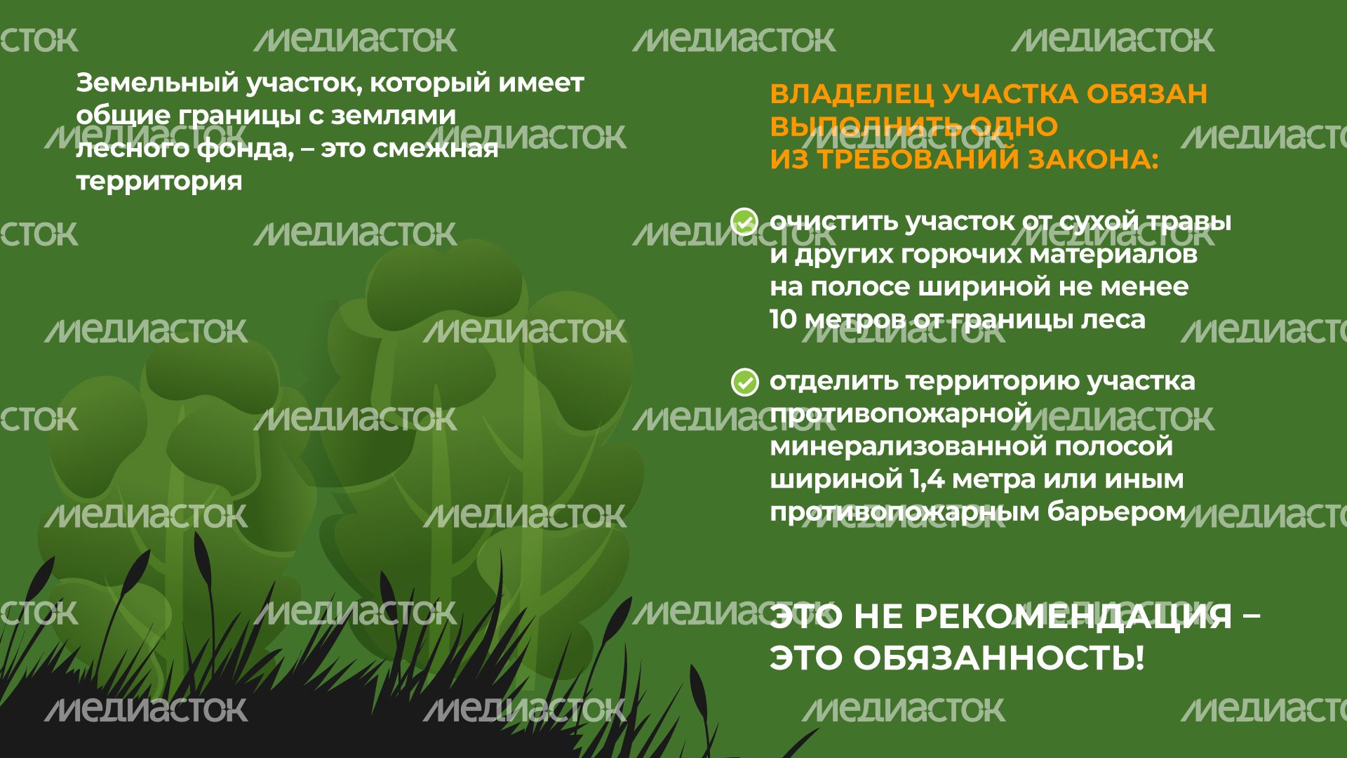 пал_гор_7.jpg