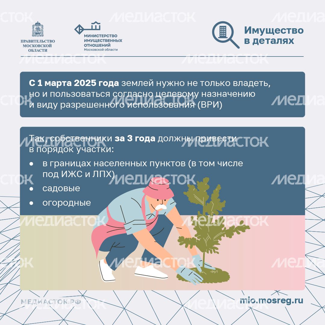 Освоение участка за 3 года квадрат 02 Освоение участка за 3 года квадрат 02