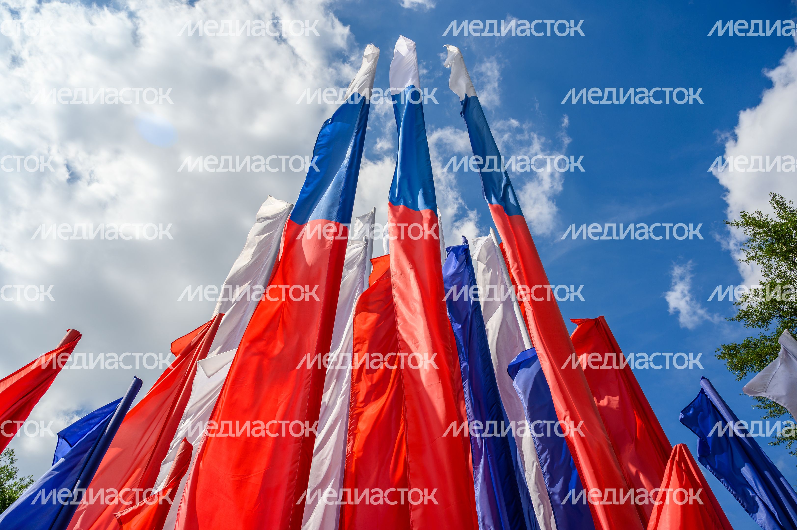 Лето в Наташинском парке Люберец