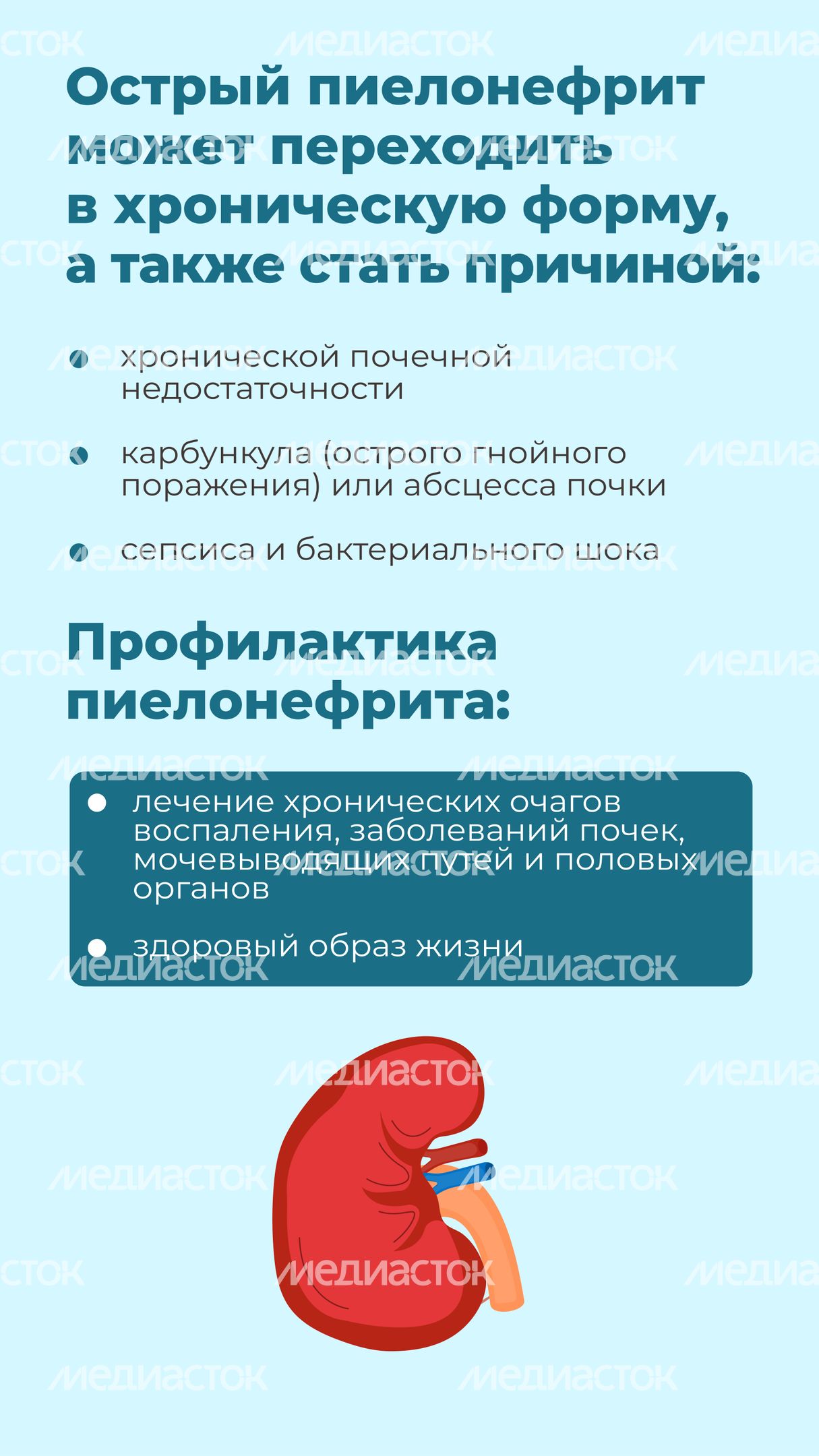 болезни почек-вертикаль-04 болезни почек-вертикаль-04