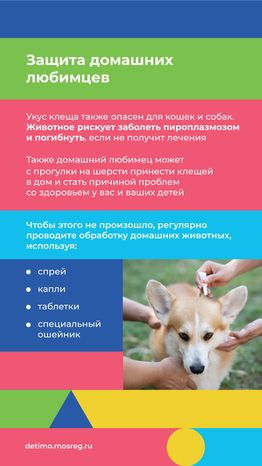 Вертикаль осторожно клещи 10.png