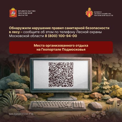 Санитарная безопасность в лесах квадрат 07