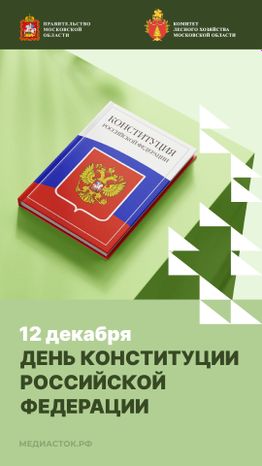 12 декабря вертикаль 01