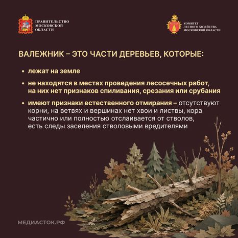 Недревесные ресурсы для собственных нужд Квадрат 04