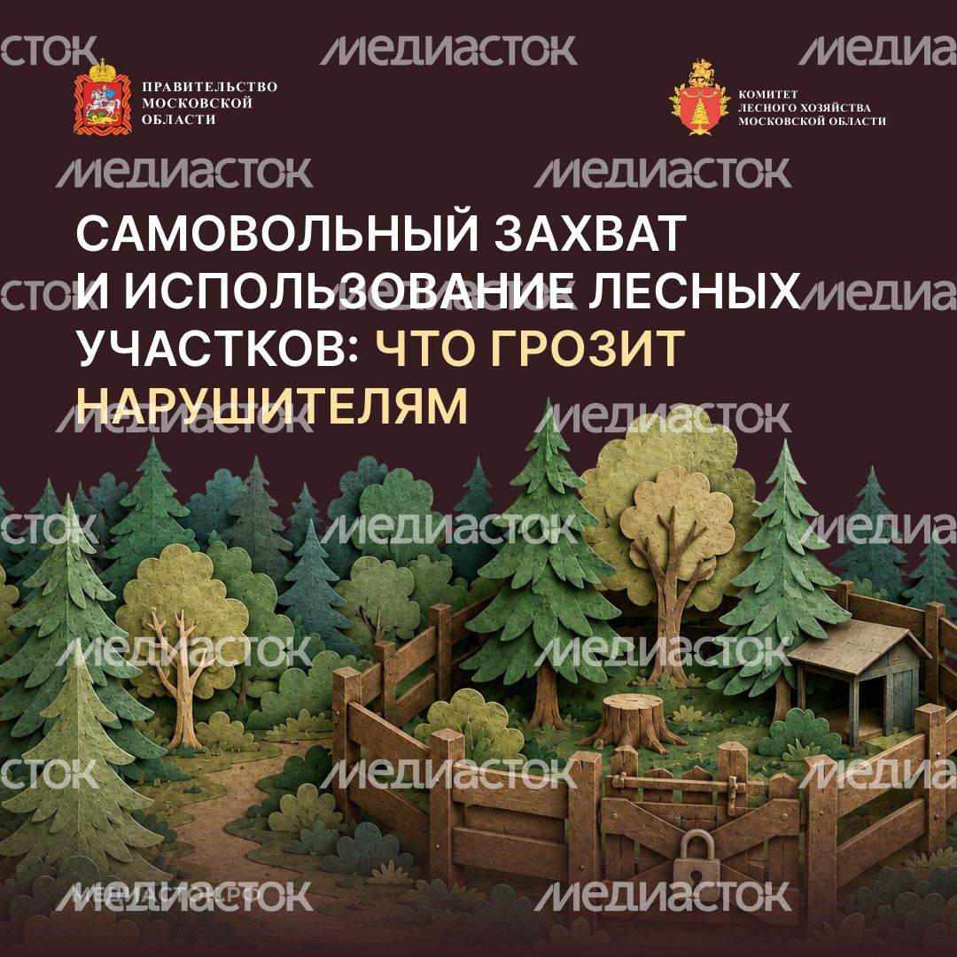 Самовольный захват и использование лесных участков квадрат 01