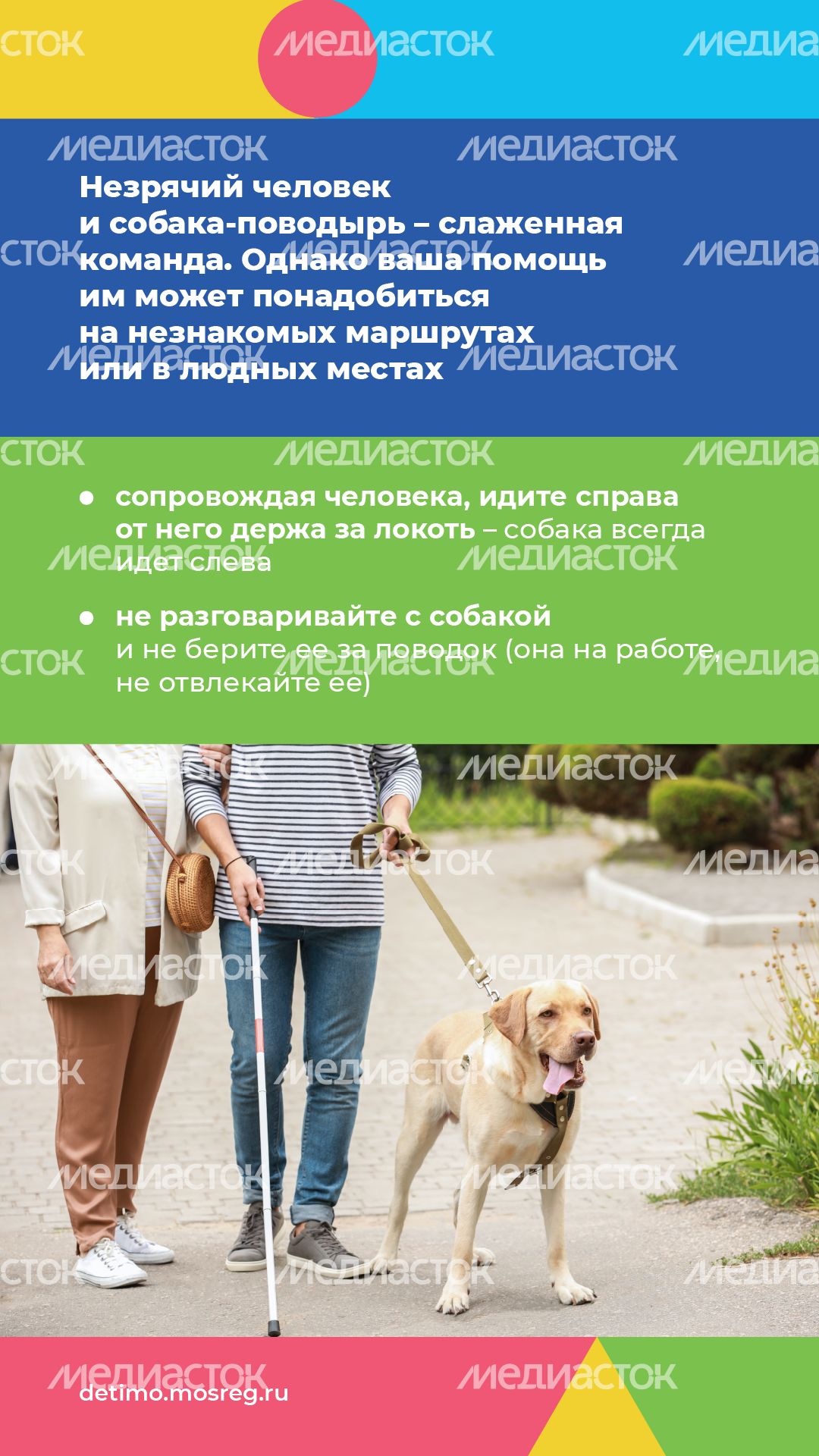 белая трость_вертикаль_10.png