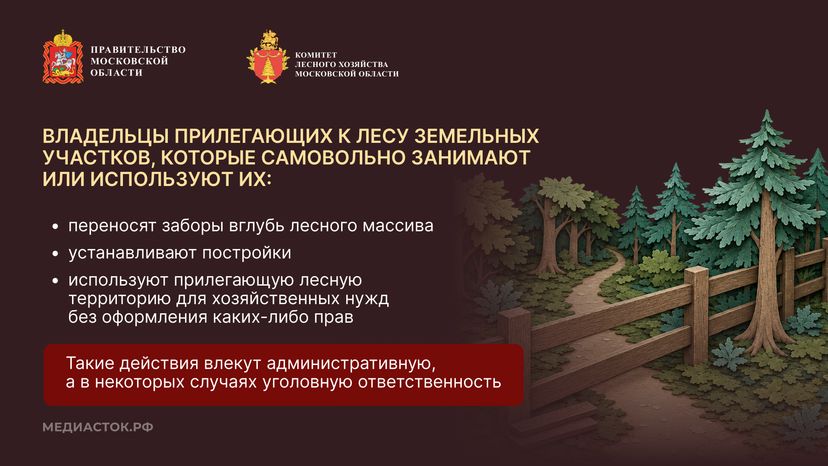 Самовольный захват и использование лесных участков горизонталь 02