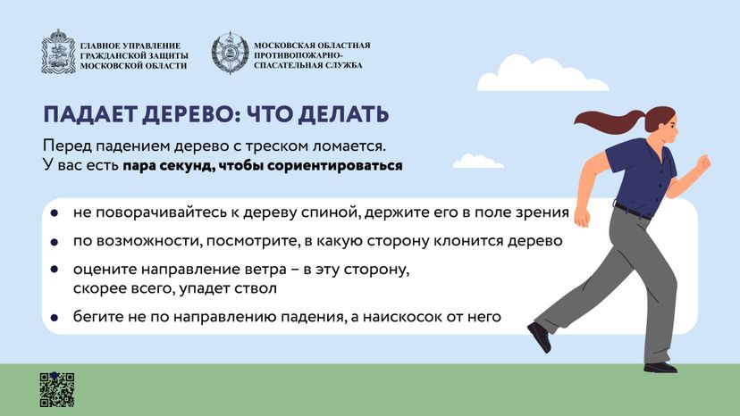 Аварийные деревья_Горизонталь-04.jpg