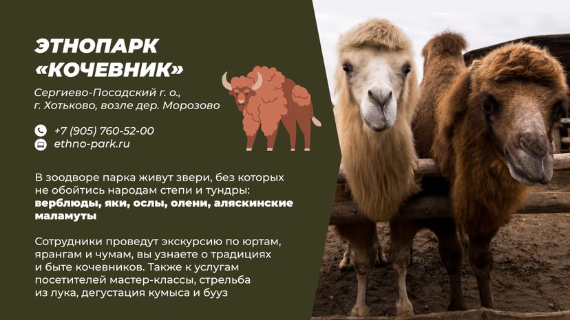 Фермы с животными