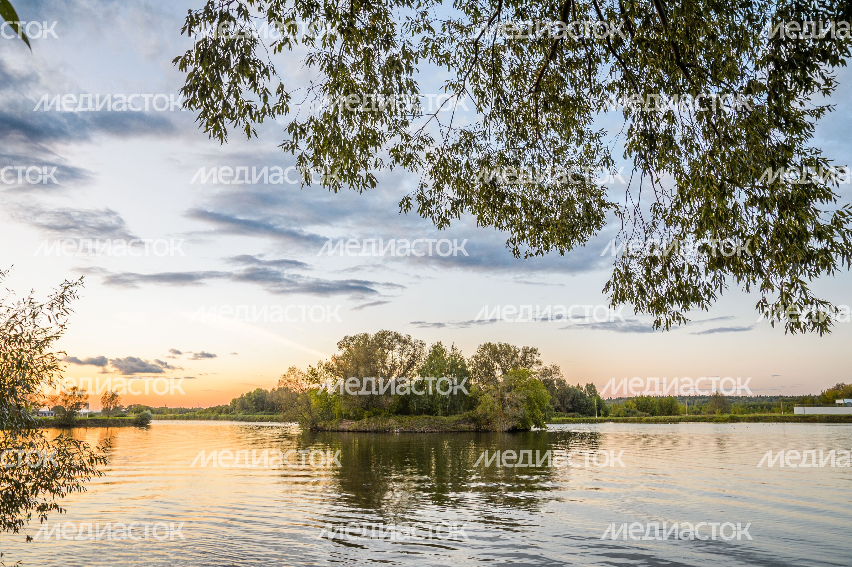 Бронницы. Парк "Бронницкий луг" Бронницы. Парк "Бронницкий луг"