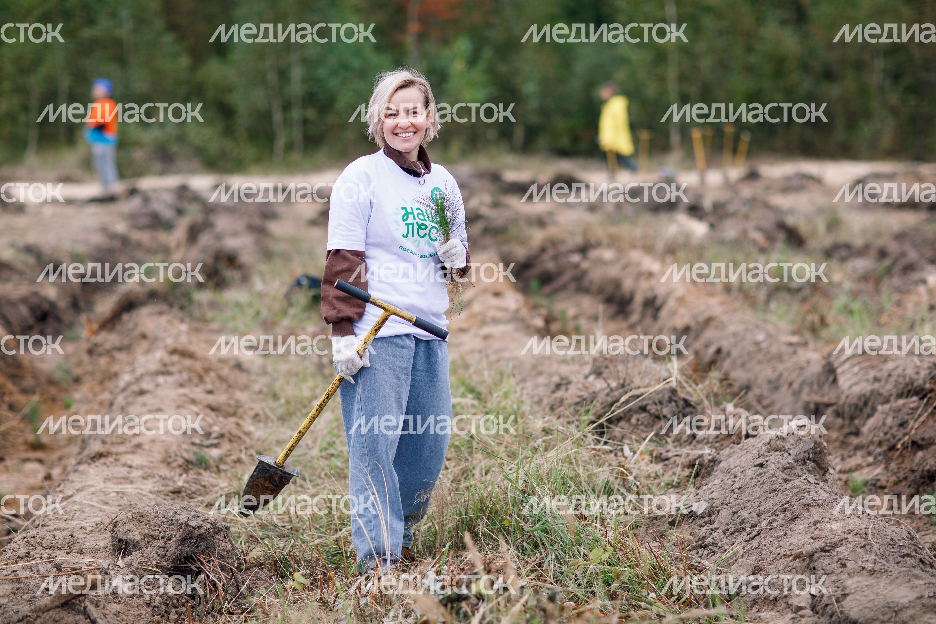 Богородский г.о. Наш лес. Посади свое дерево, сентябрь 2023 г. Богородский г.о. Наш лес. Посади свое дерево, сентябрь 2023 г.