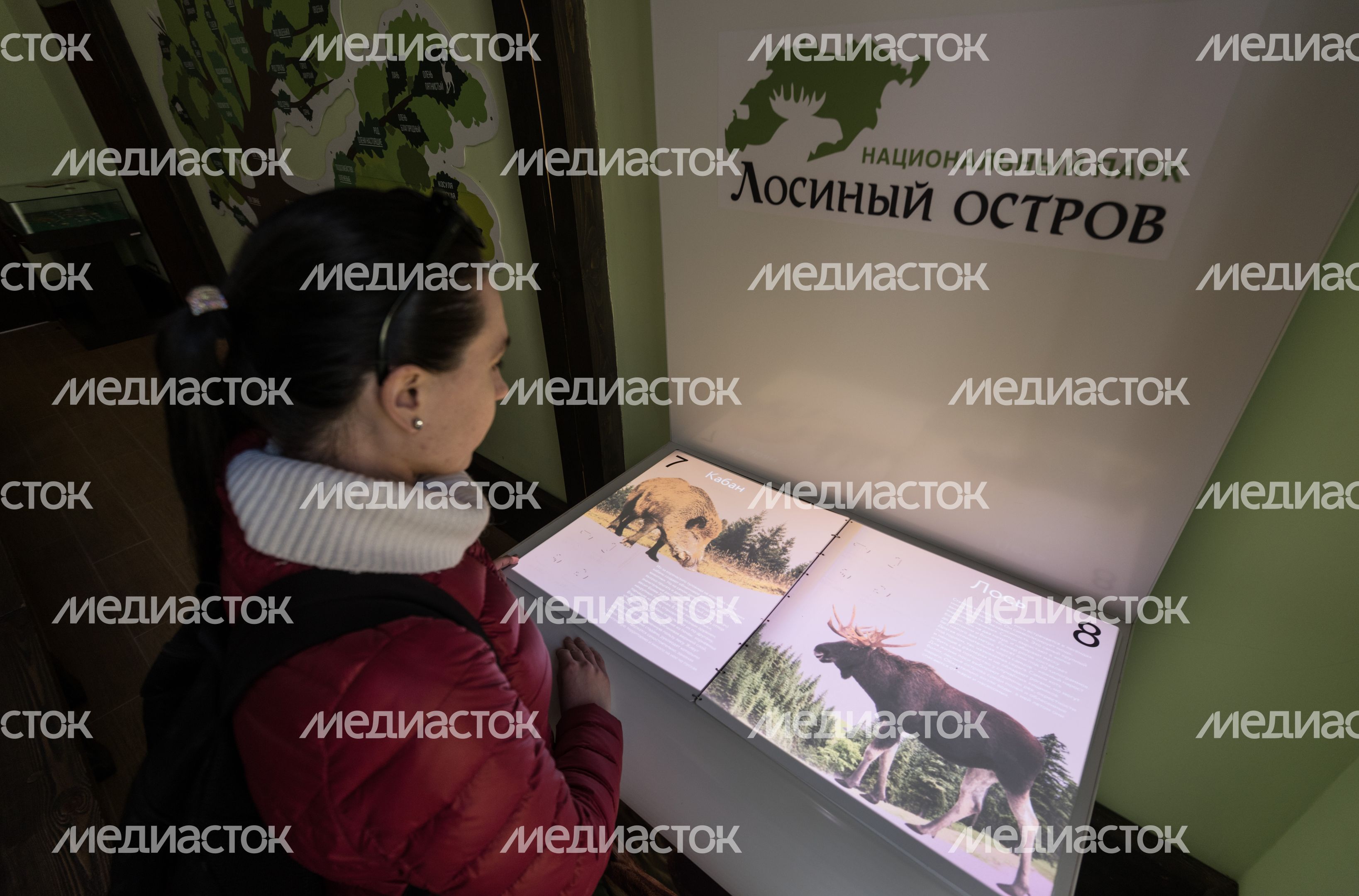 Национальный парк Лосиный остров