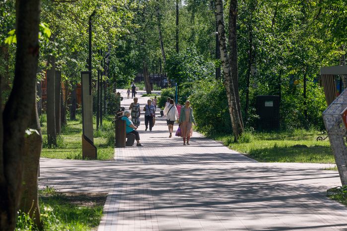 Центральный парк культуры и отдыха «Пушкинский» в Пушкино летом