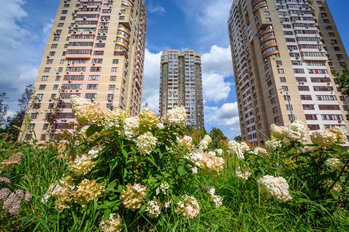 Благоустройство сквера на улице Парковой в Реутове