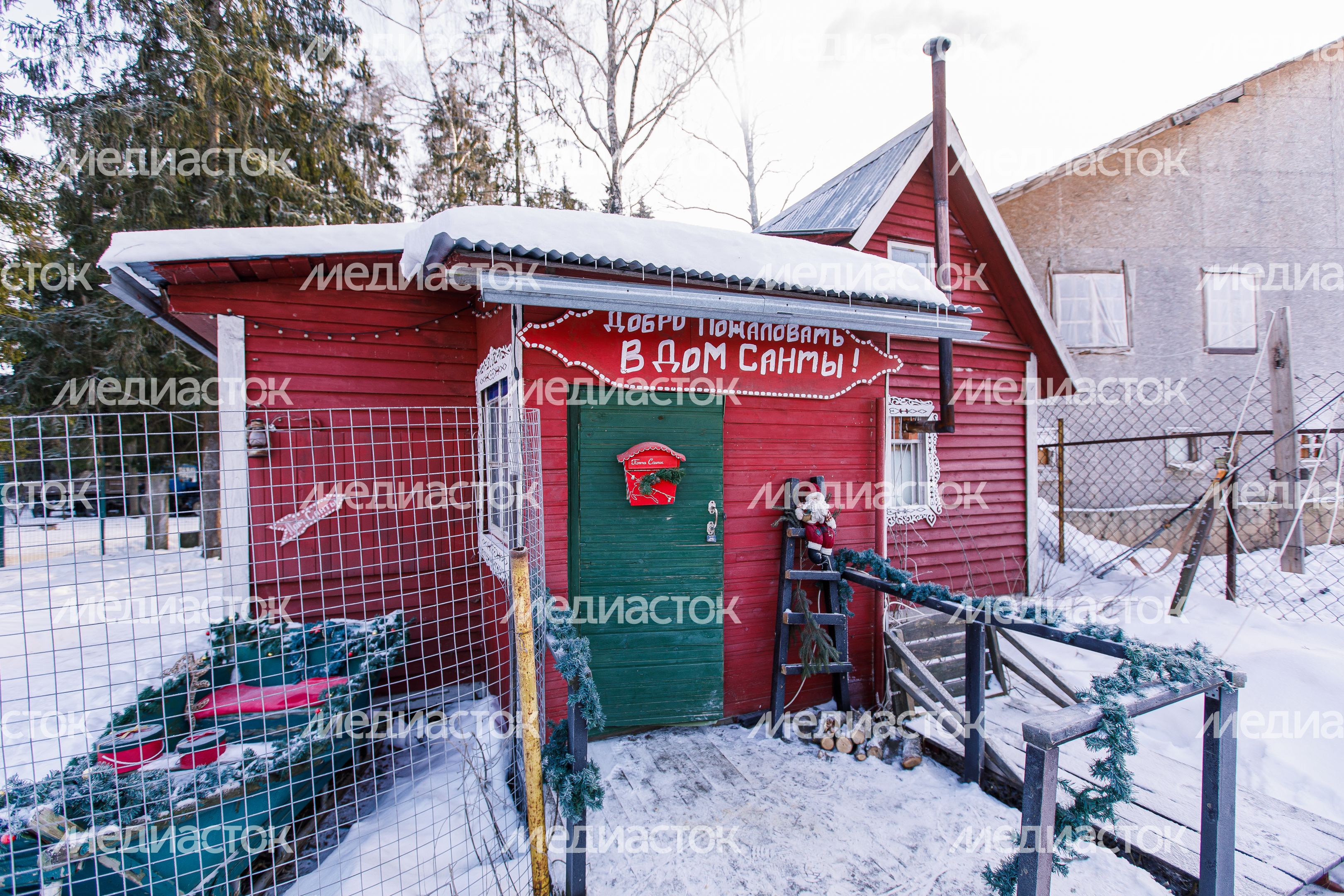 Оленья ферма ZooОleni в Рузском округе