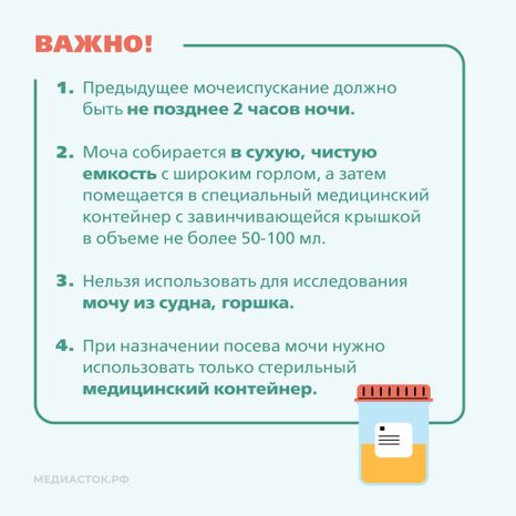 Подготовка к исследованию мочи Квадрат 06