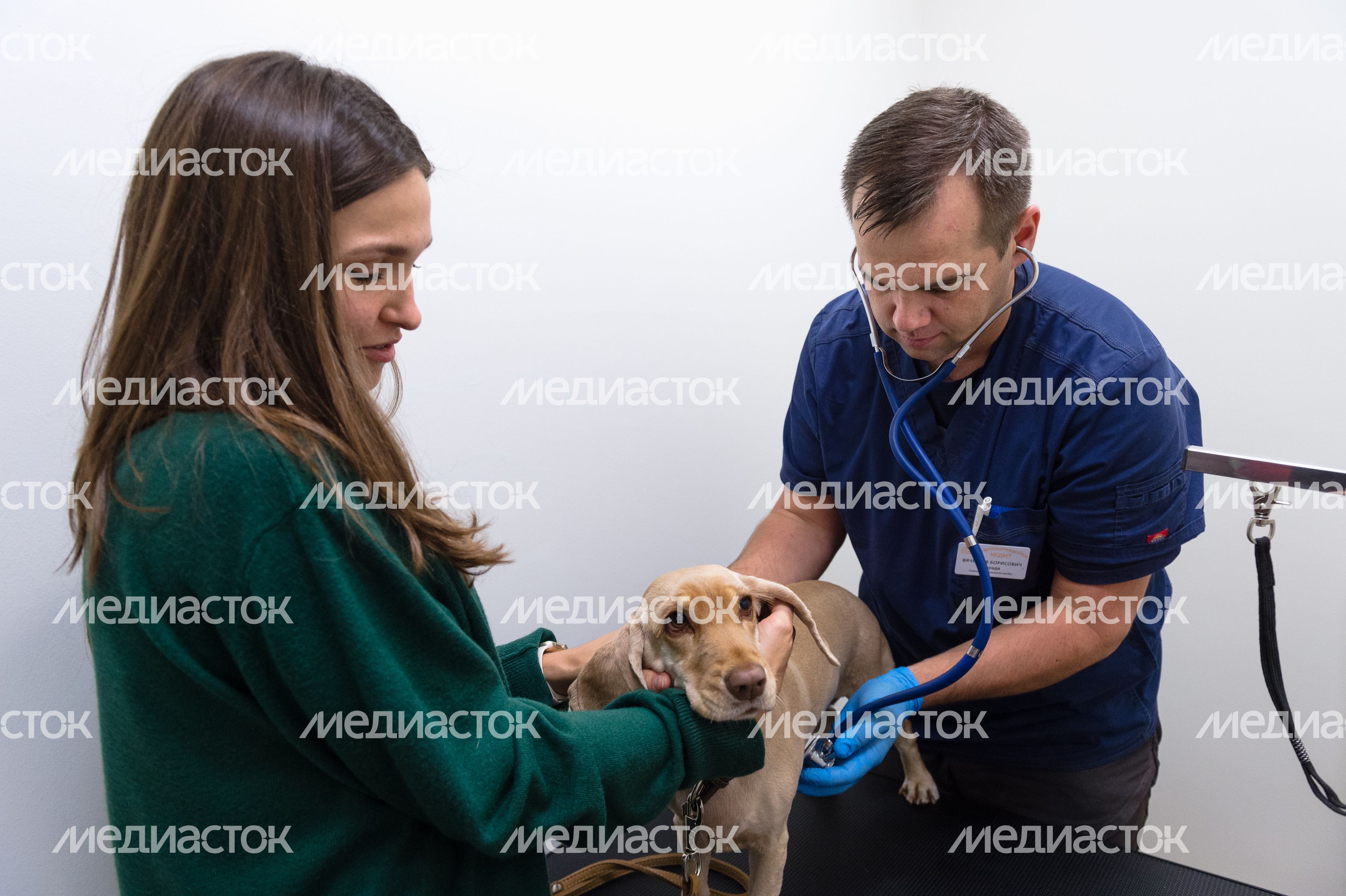 Pet‑friendly офис Purina
