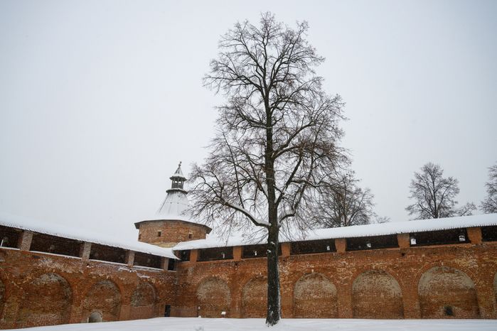 Зарайский кремль зимой