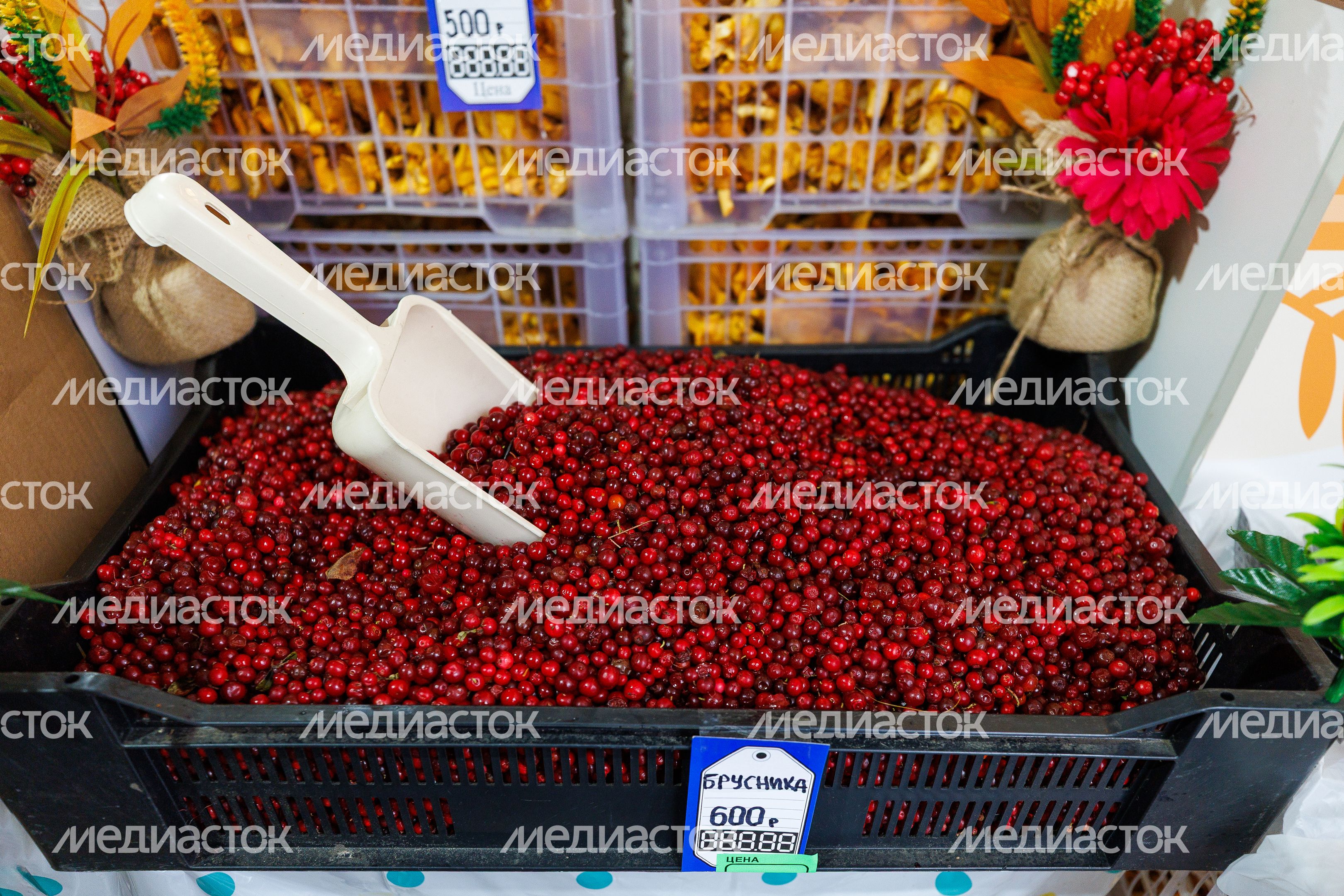 Продукция местных фермеров на ярмарке подмосковных брендов «100% Подмосковье. Встречаем осень» в Красногорске Продукция местных фермеров на ярмарке подмосковных брендов «100% Подмосковье. Встречаем осень» в Красногорске