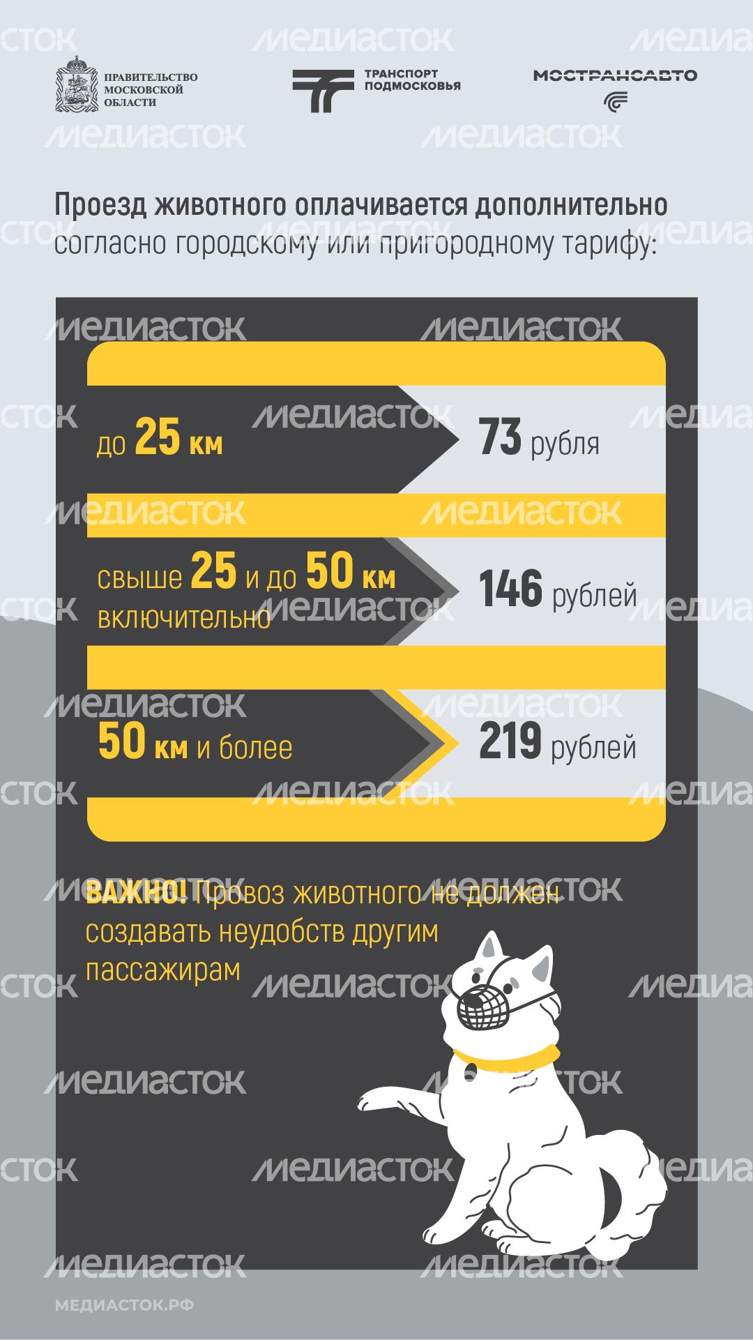 Правила перевозки животных вертикаль 06