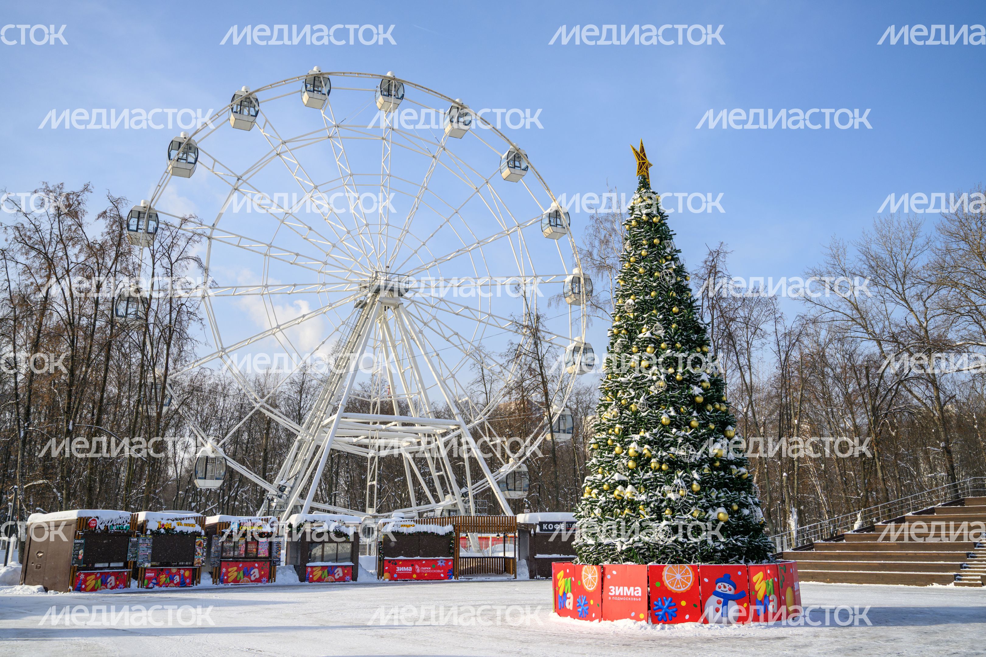 Наташинский парк зимой в Люберцах