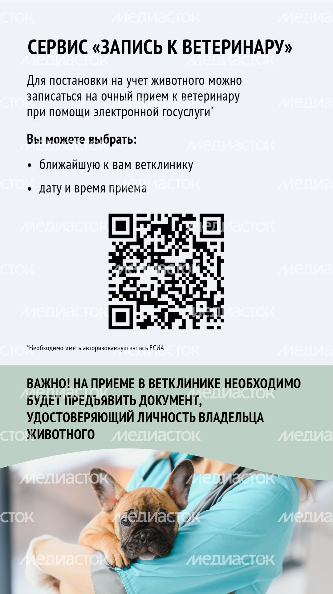 Вертикаль_ зарегистрировать домашнее животное_06-100.jpg