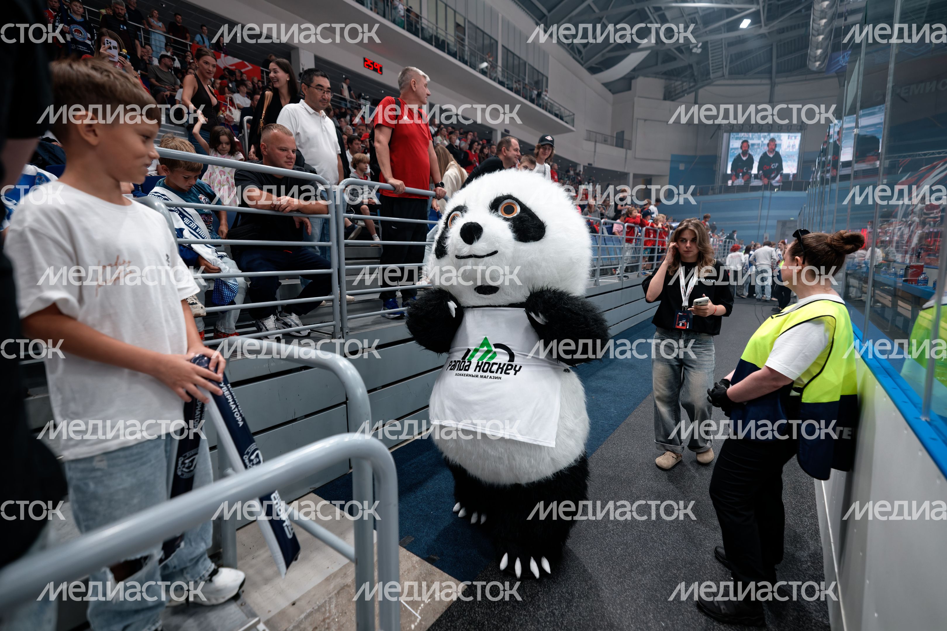 Болельщики Кубка Александра Овечкина по хоккею среди детско-юношеских команд «ОВИCUP-2026» в Мытищах