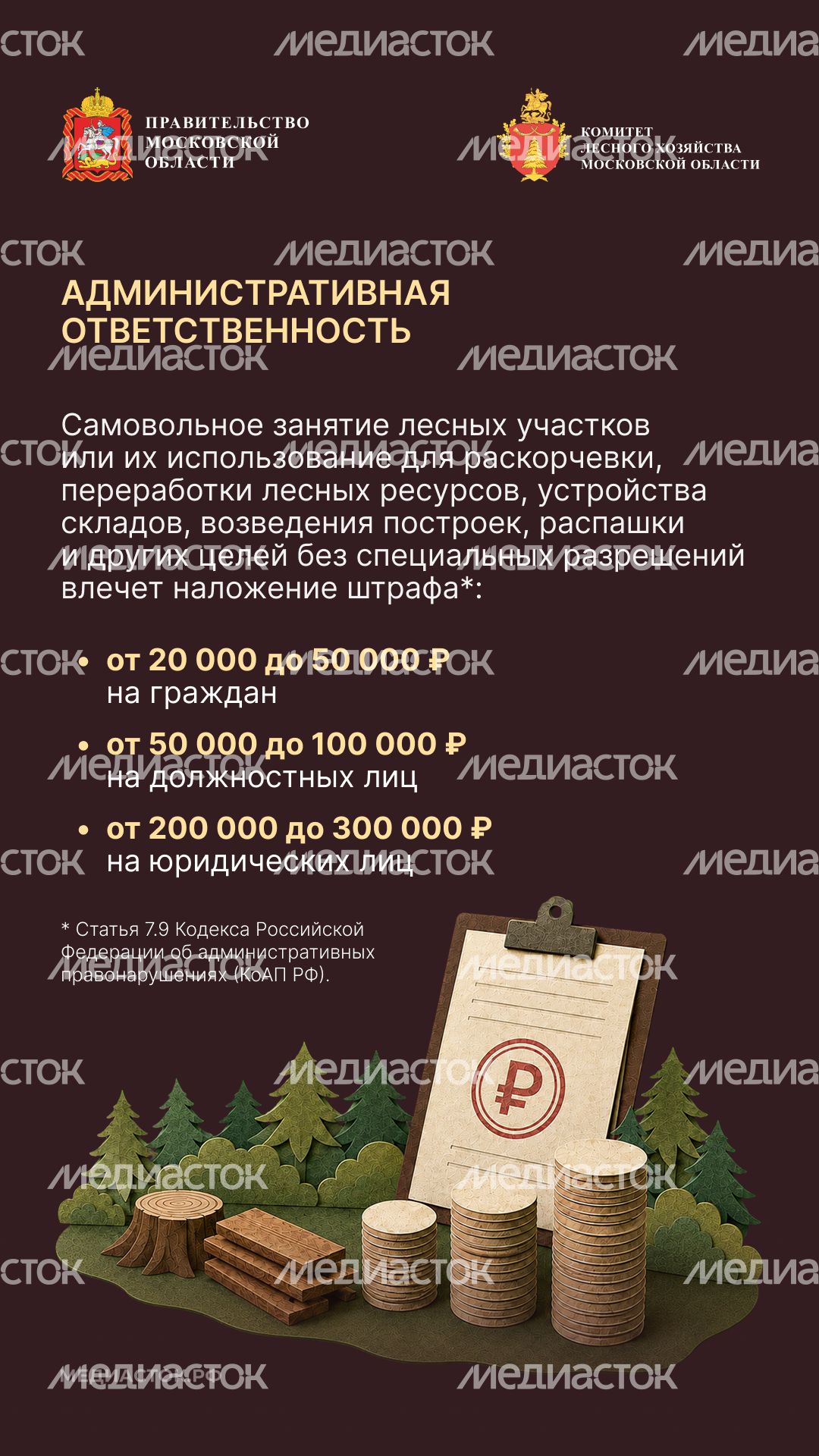 Самовольный захват и использование лесных участков вертикаль 04