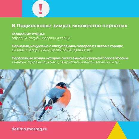 синичкин_день_квадрат_03.jpg