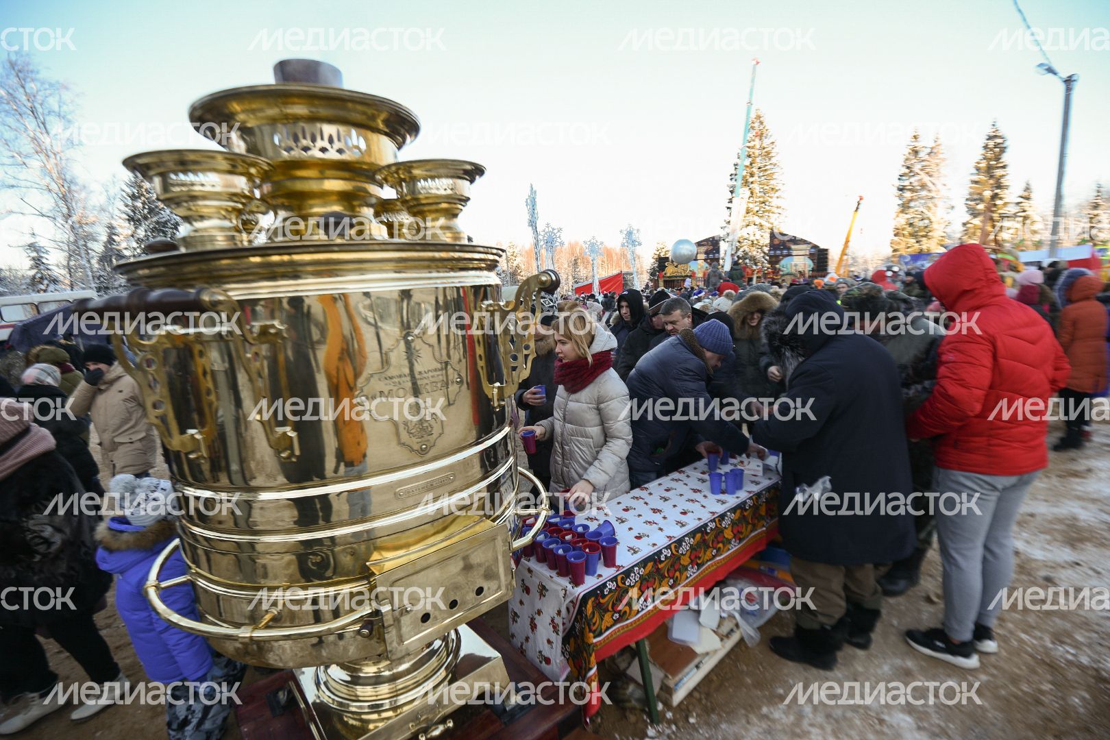 Сруб главной новогодней ели страны в Щелковском районе Подмосковья