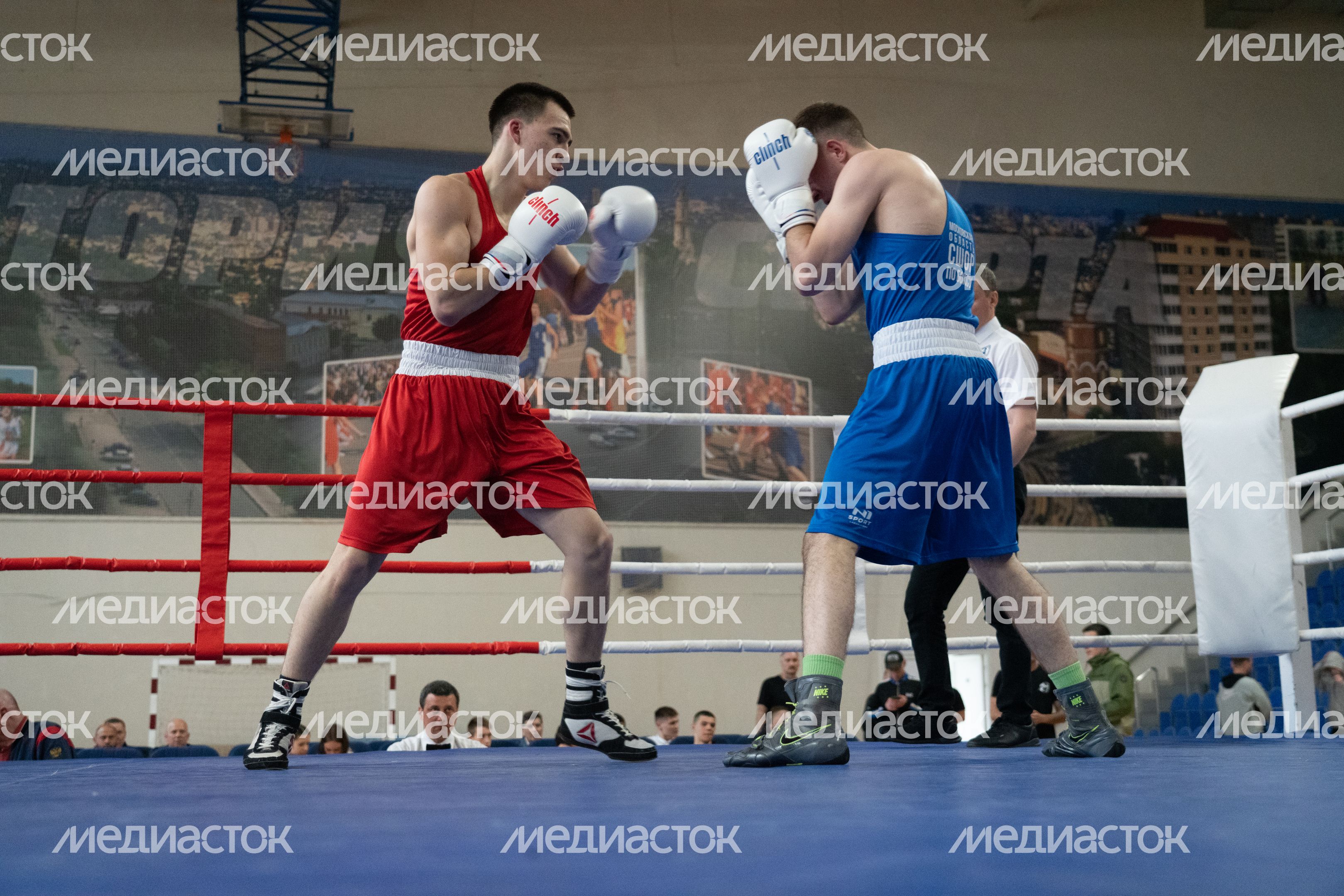 Чемпионат МО по боксу