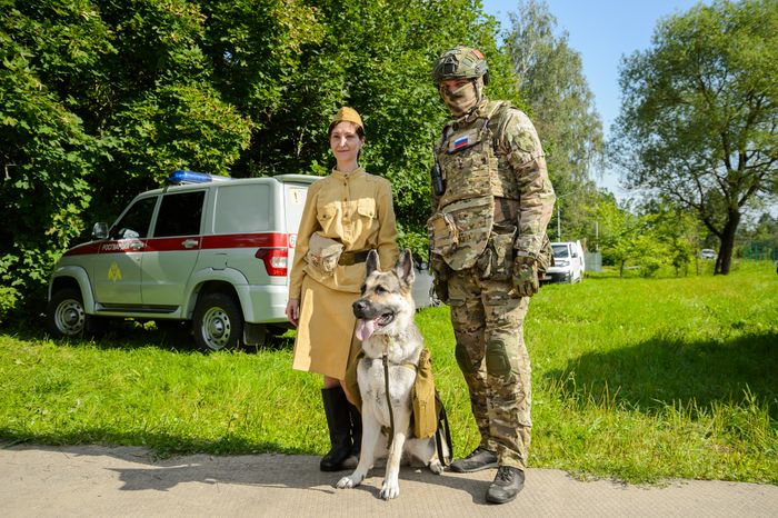 Мытищи. Шолохово. Военно-патриотический фестиваль Фронтовая собака