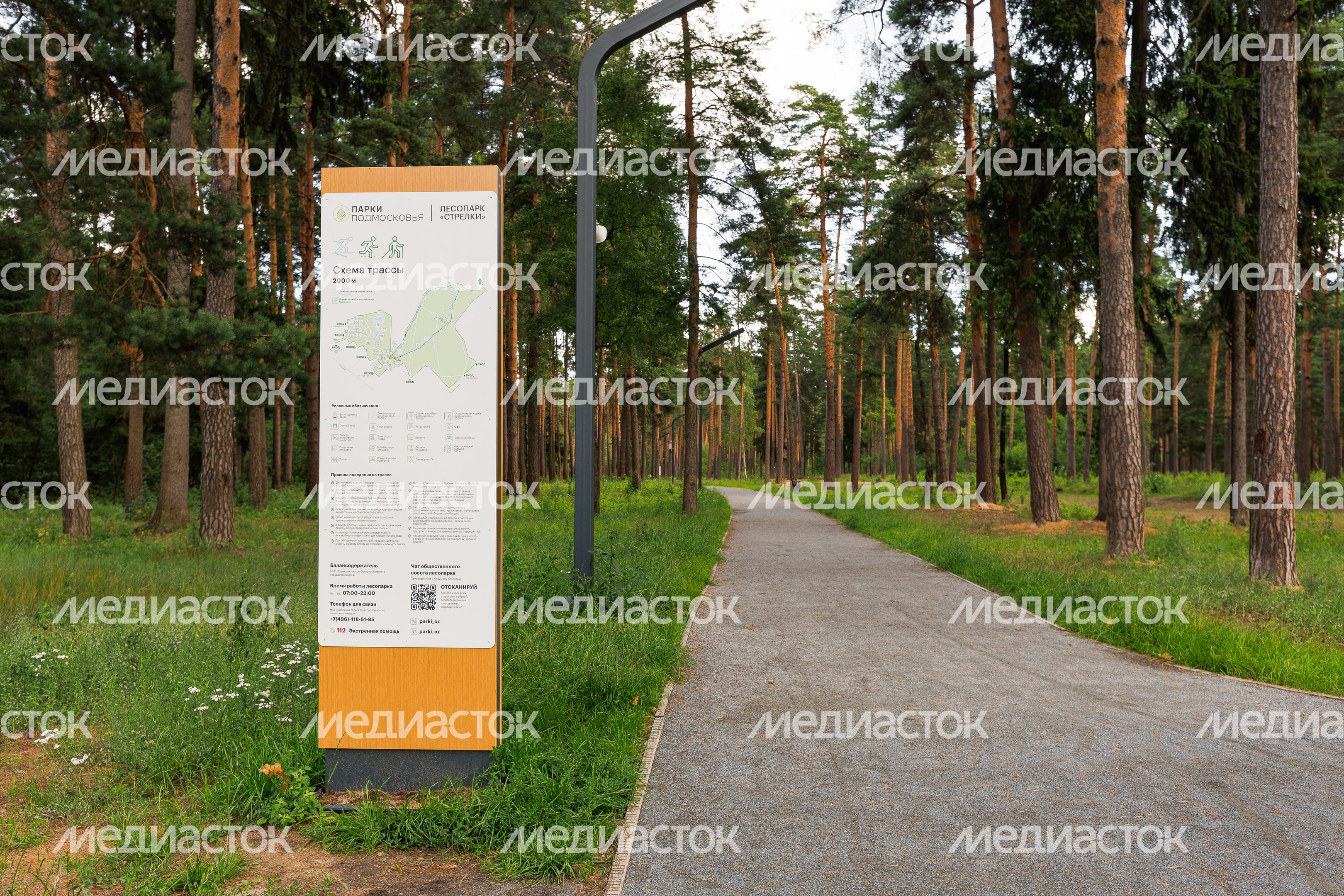 Лесопарк «Стрелки» в Орехово-Зуево летом