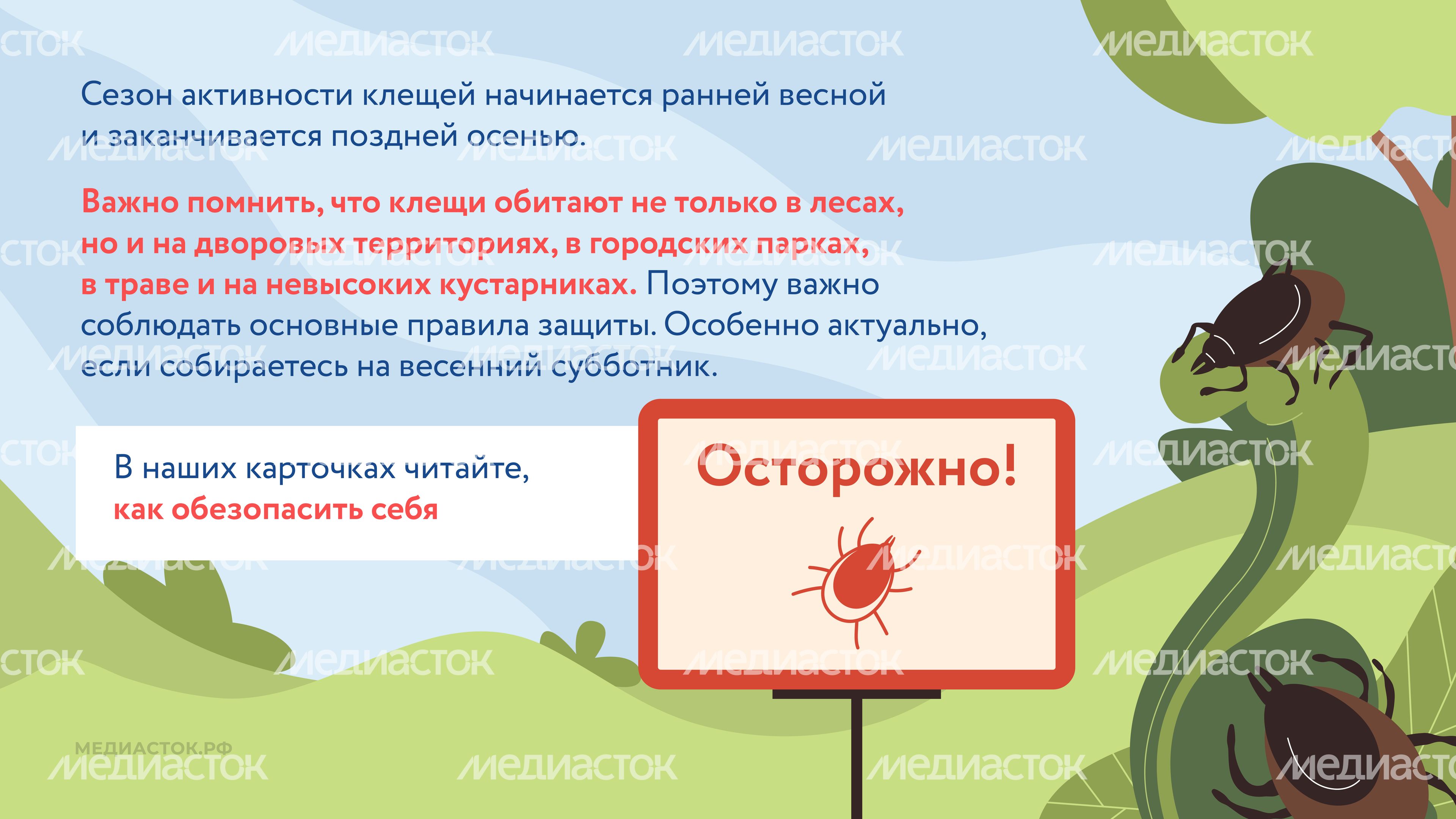 Как защититься от клещей горизонталь 02 Как защититься от клещей горизонталь 02