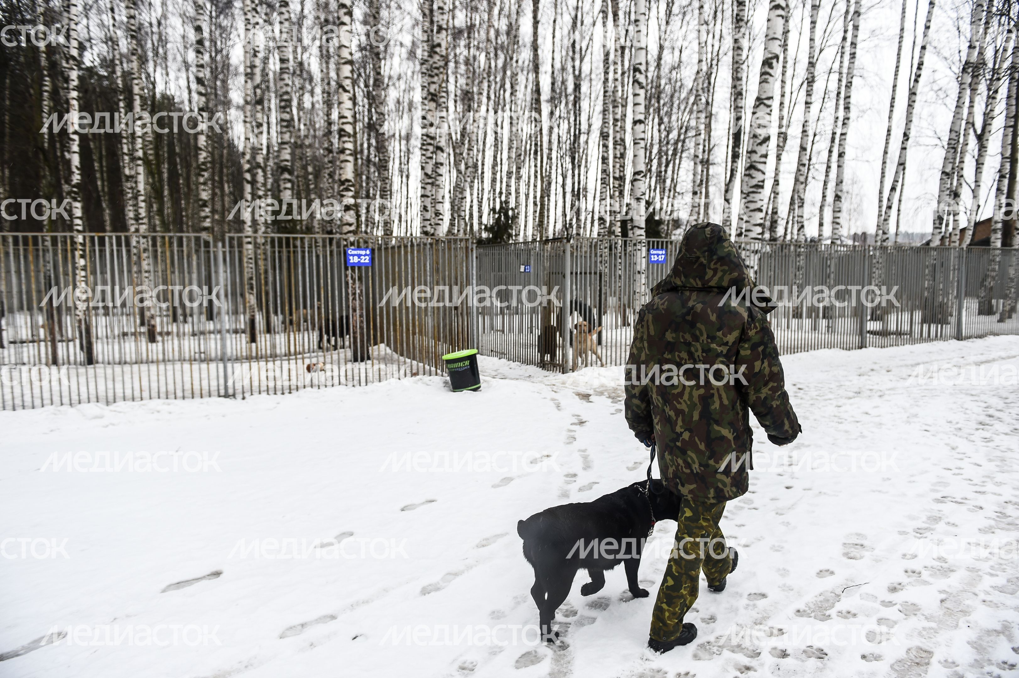 Школа собак‑проводников в Подмосковье