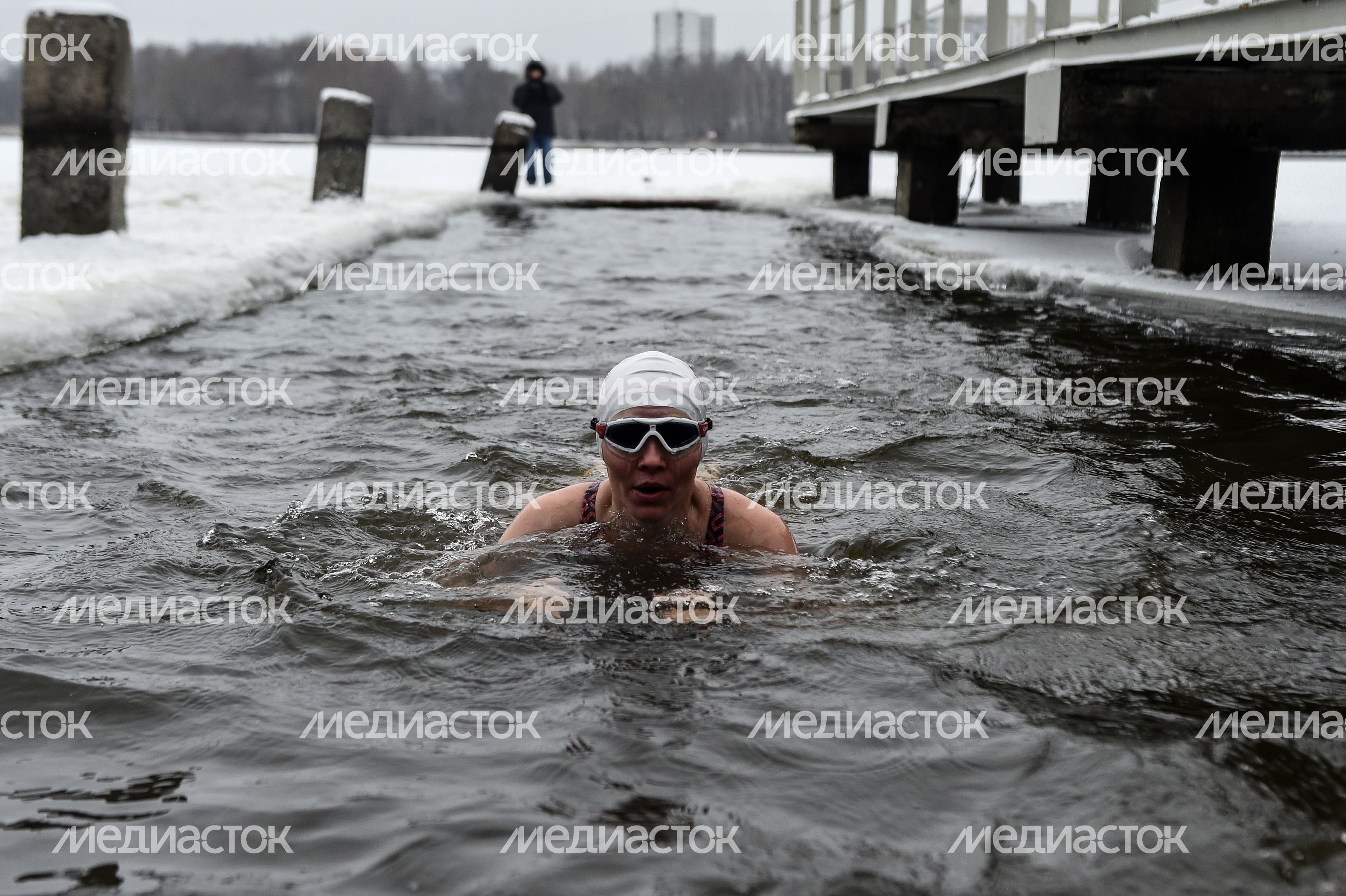 Купание моржей в Долгопрудном