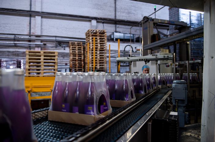 Аналог Сoca‑Cola начали производить в Подмосковье