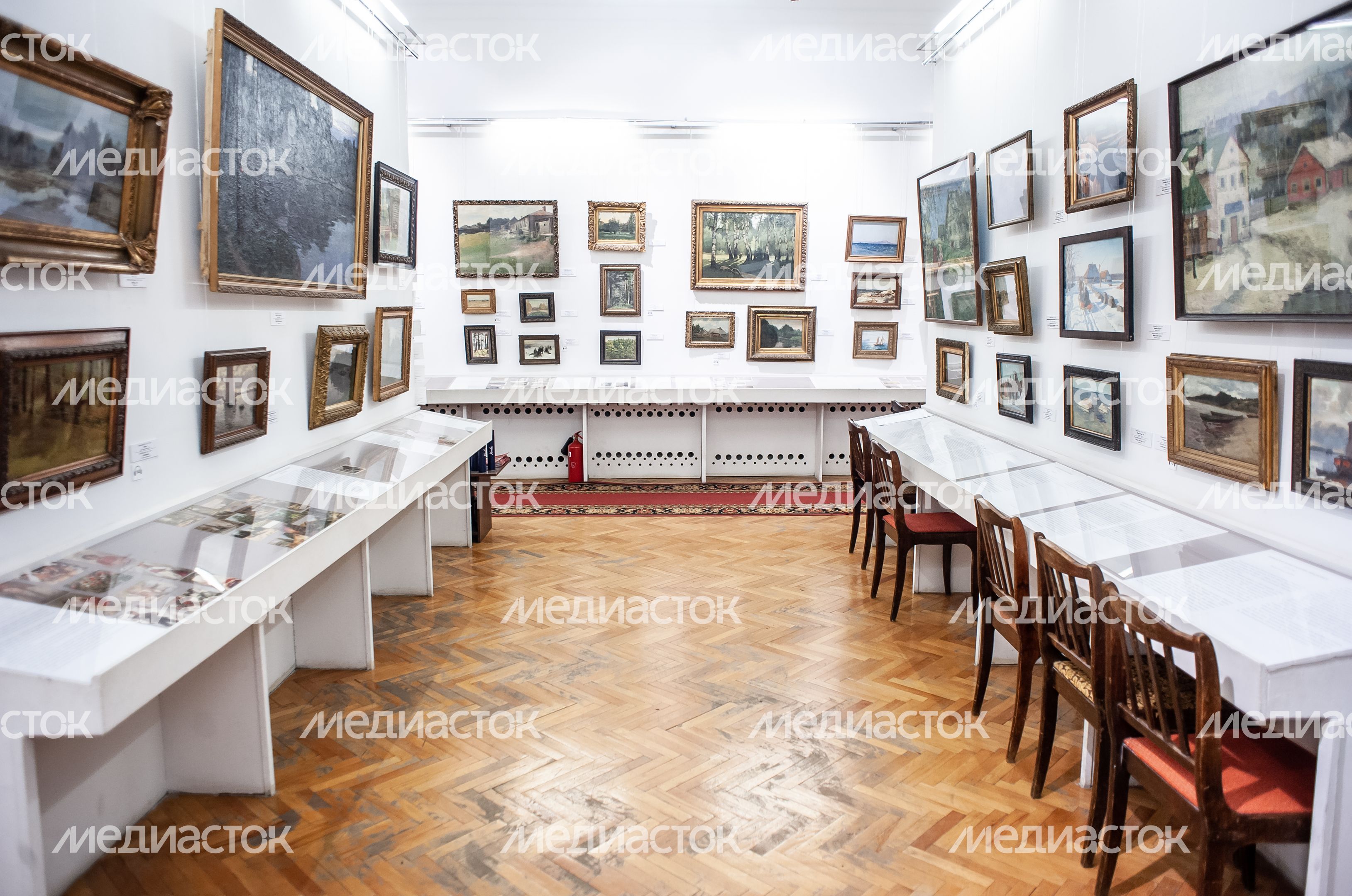 Химкинская картинная галерея имени С.Н.Горшина