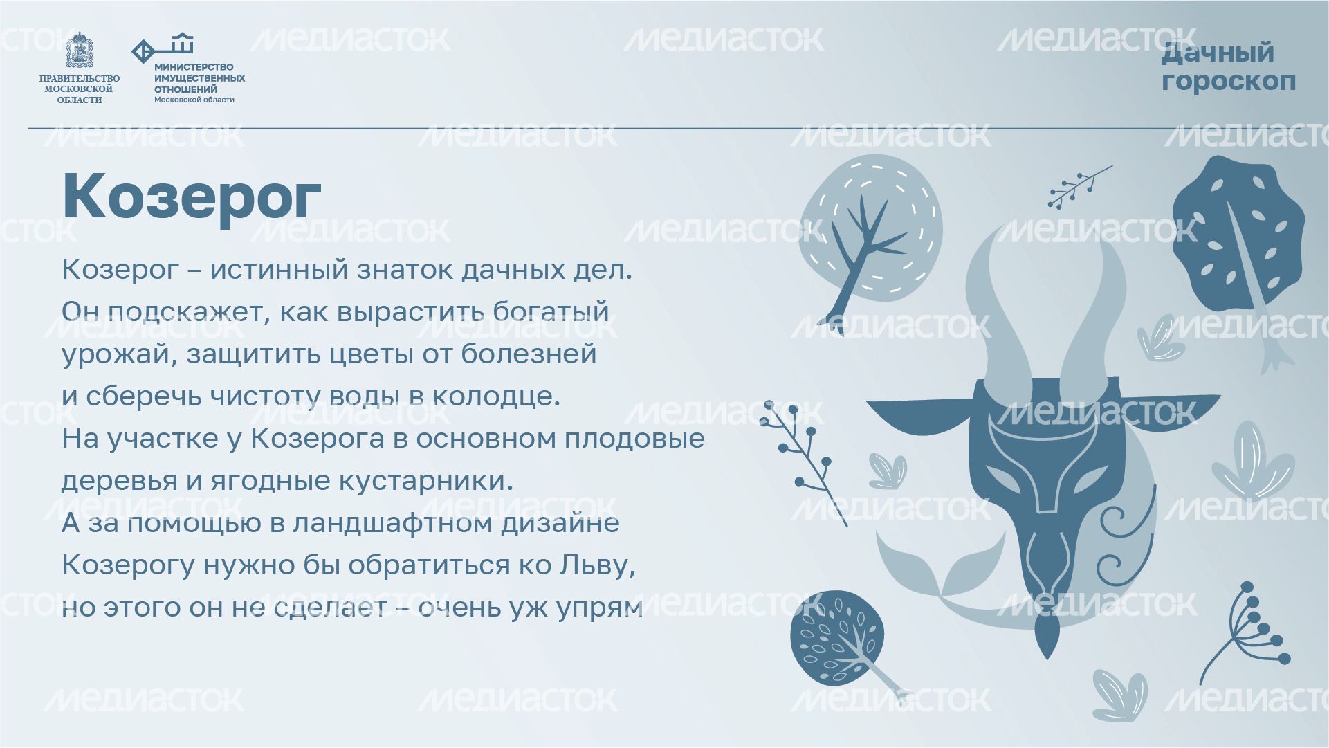Горизонталь_Дачный_гороскоп_10-100.jpg