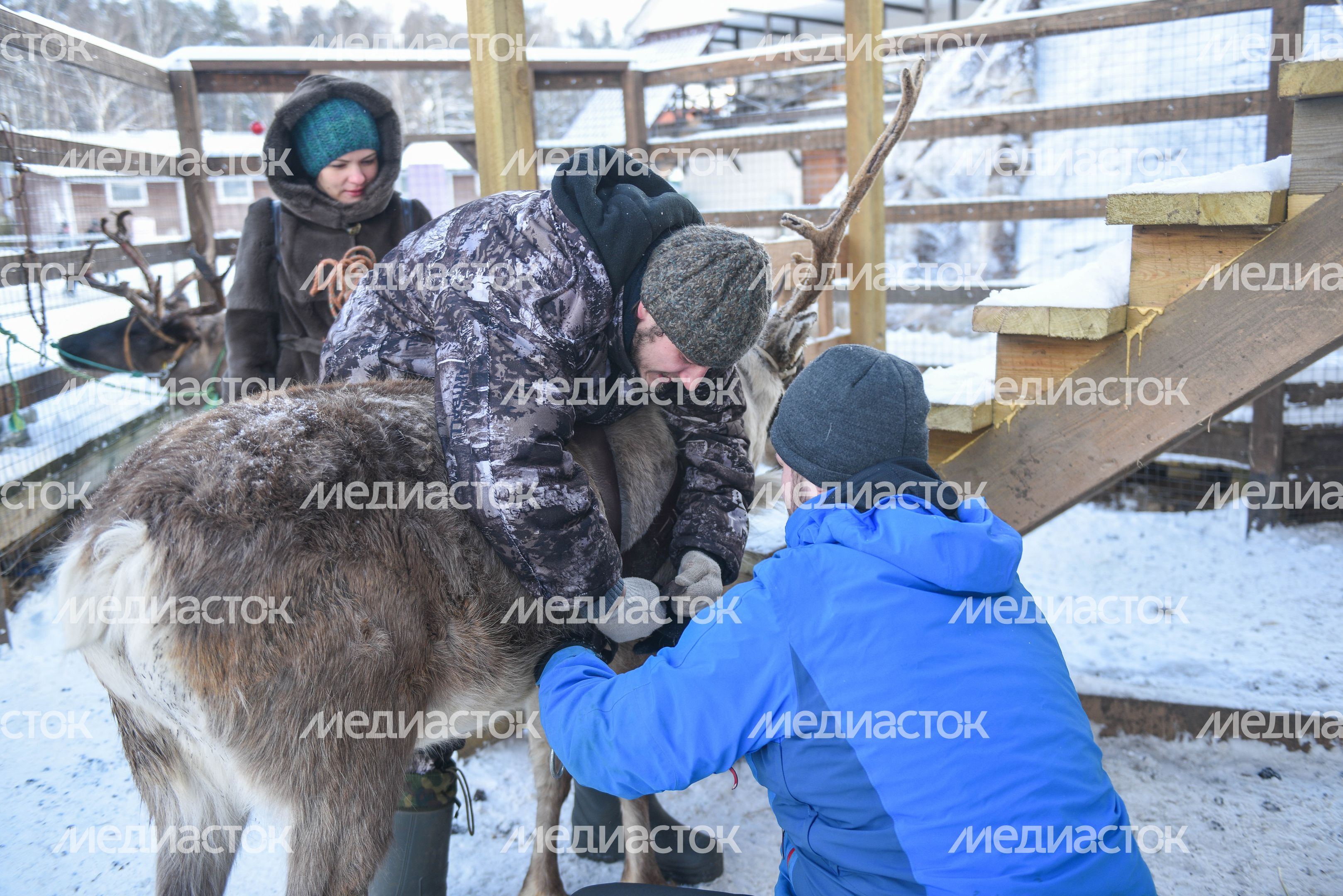 Оленья ферма в Дзержинском