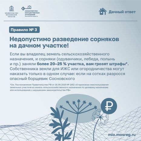 Рубрика дачный ответ