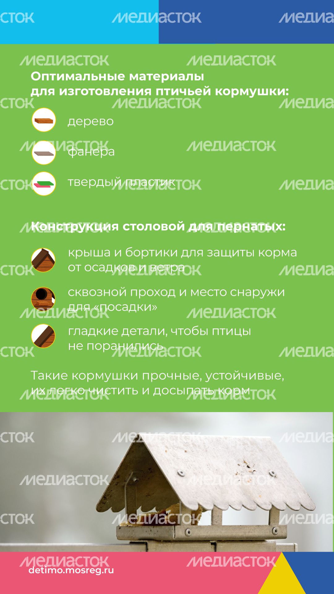 Синичкин_день_вертикаль_06.jpg